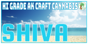 Shiva sticker